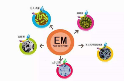 有機肥技術(shù)推廣的有效策略與實踐路徑