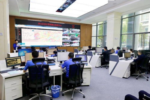 區政協視察全區智慧城管服務系統建設情況 科學化、智能化、智慧化推動城市治理新格局